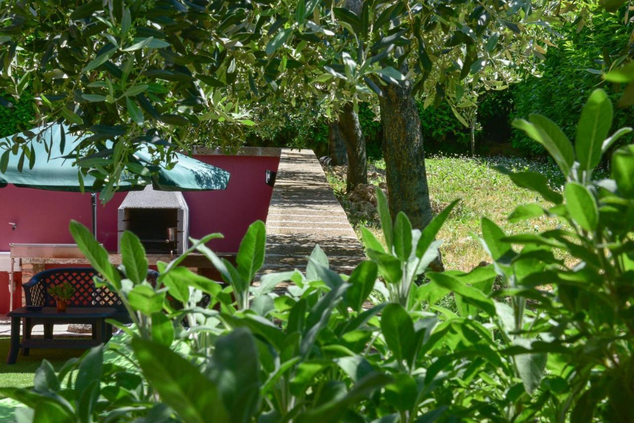 Torricella Sicura B&B Villa Passero المظهر الخارجي الصورة